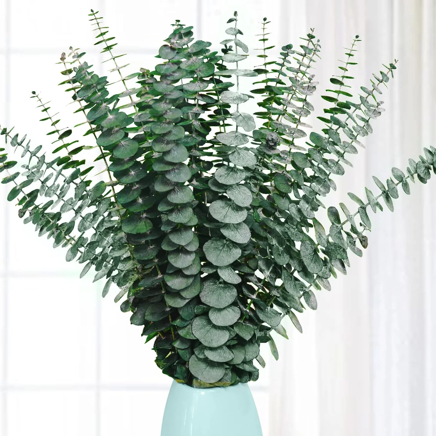 Preserved Dried Eucalyptus Stems, Eucalyptus Branches for Shower