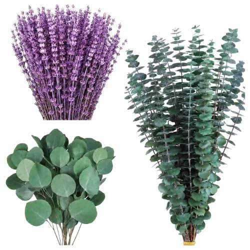 Dried Eucalyptus Stems & Lavender Flowers for Shower & Decor