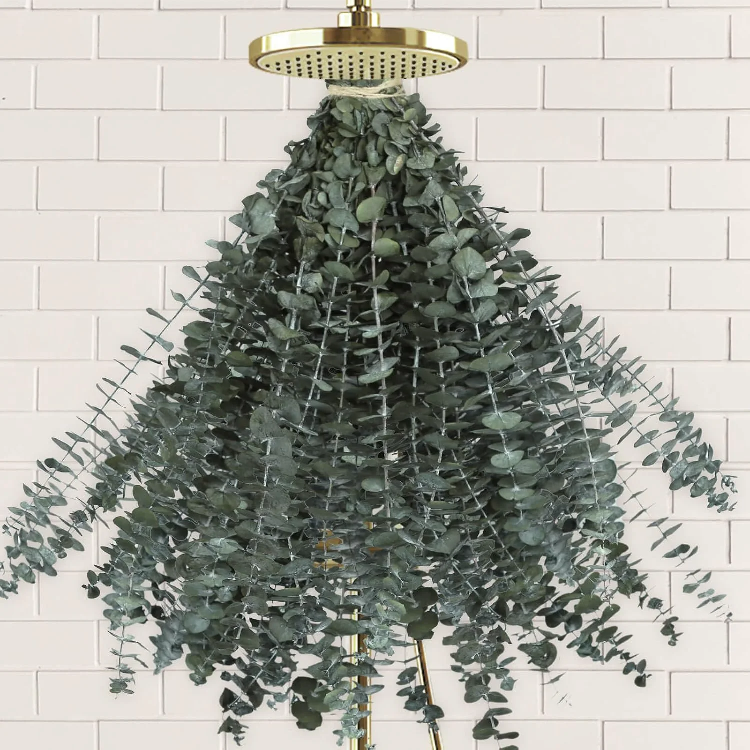 A bundle of preserved eucalyptus hanging under a shower head