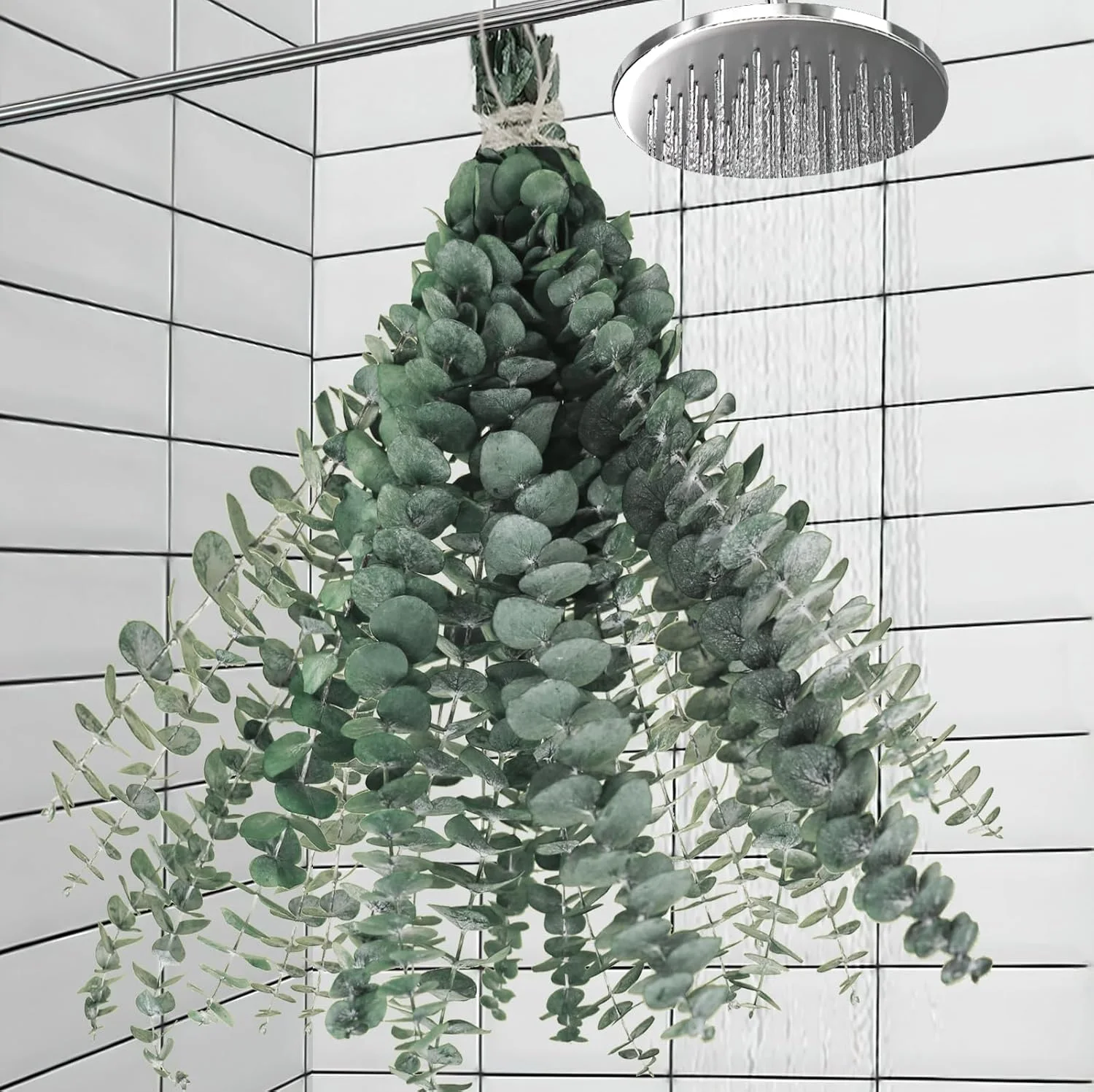 Real Dried Eucalyptus Stem for Shower & Bathroom Decor