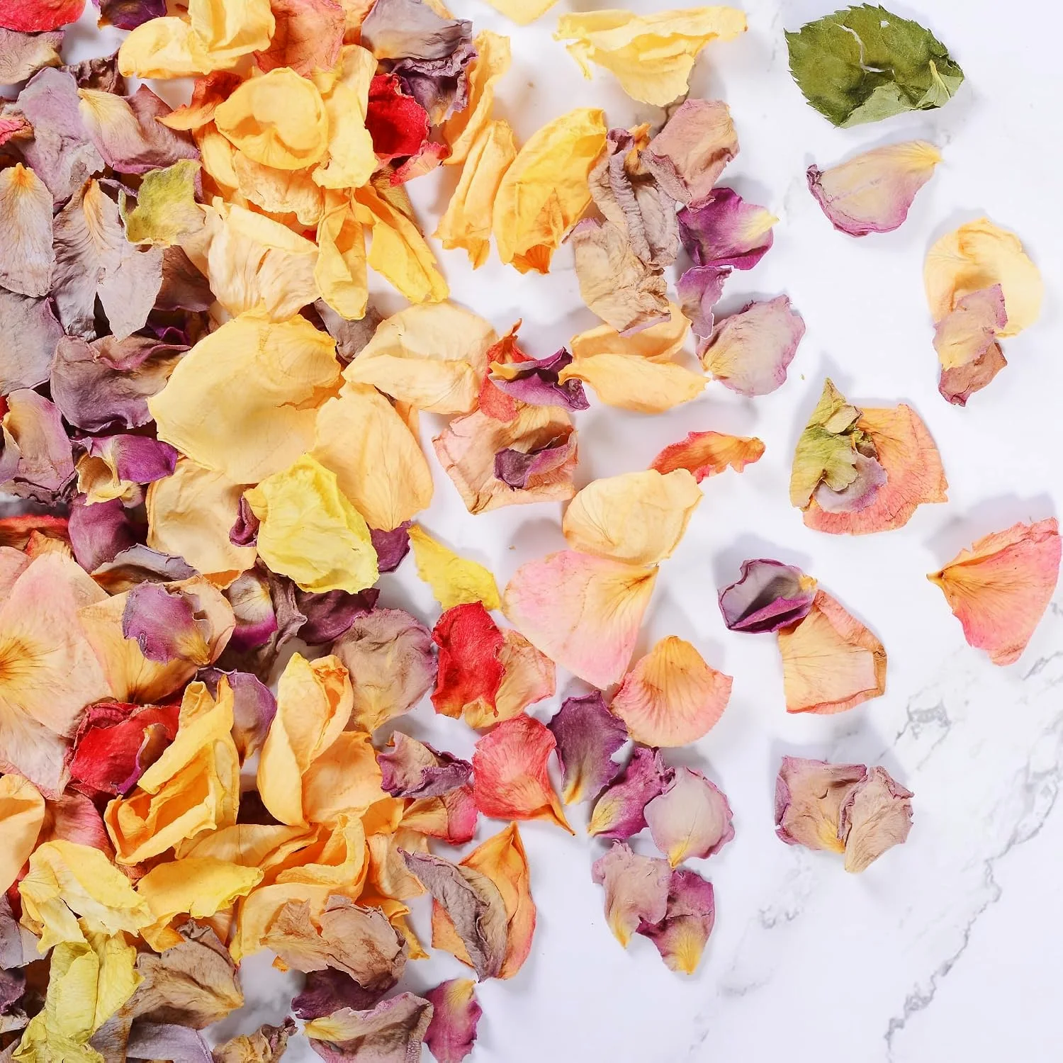 Dried Rose Flower Petals 4oz Confetti for Wedding Decor