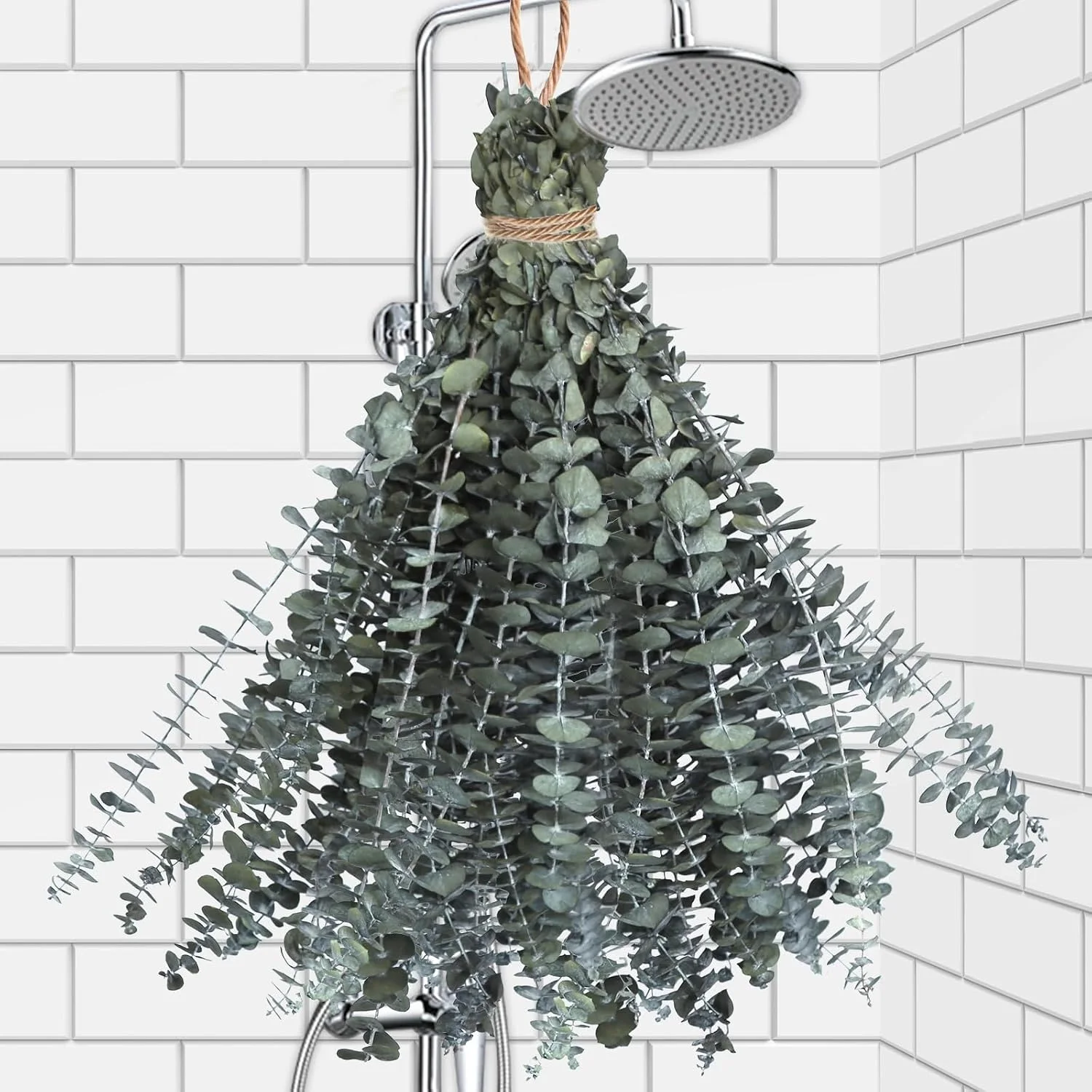 Preserved Dried Eucalyptus Stems for Shower Hanging