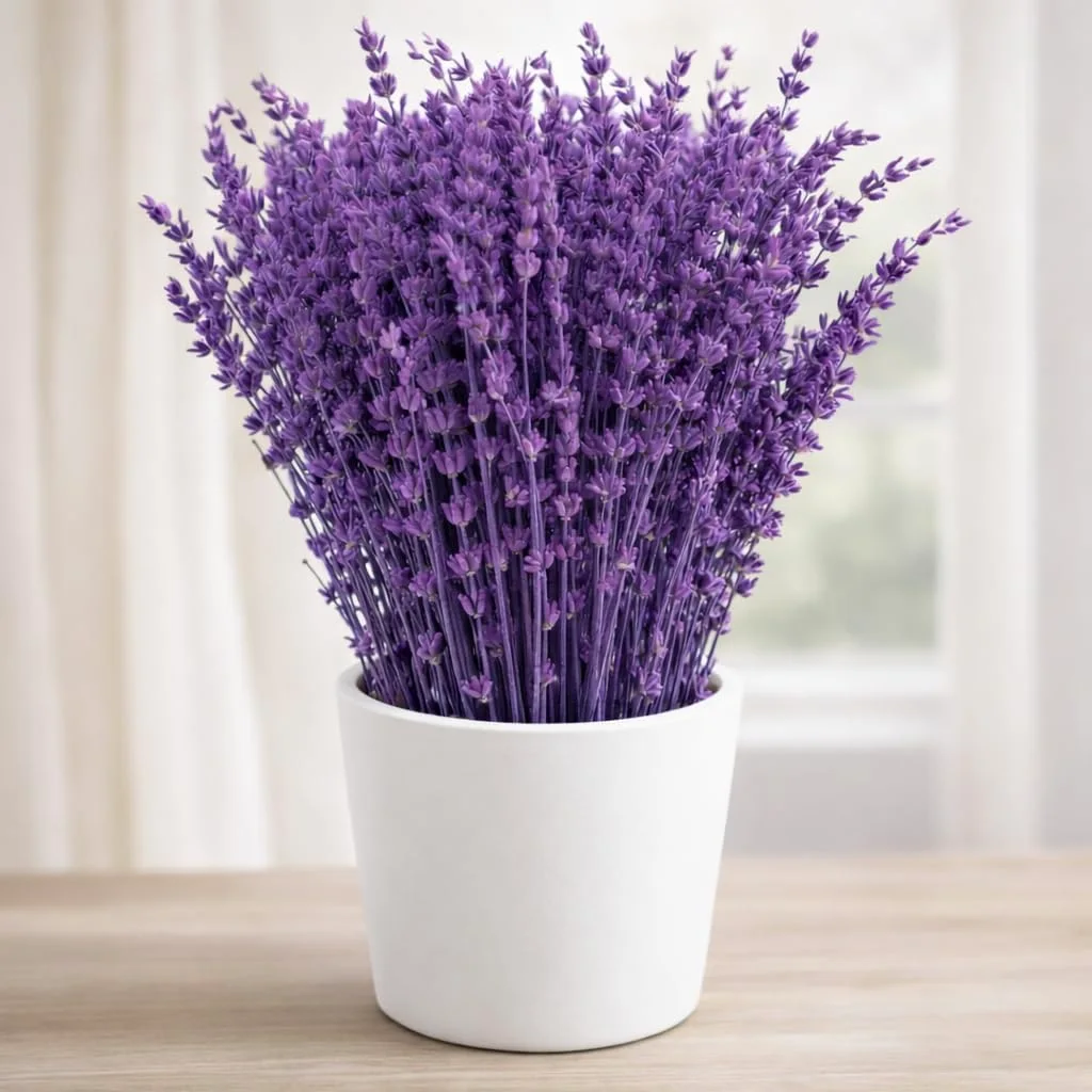 Dried Purple Lavender Flowers Bundle, Dried Lavender Bouquet