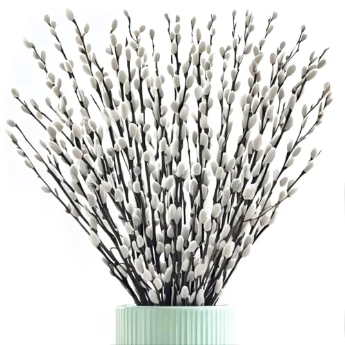 Real Dried PussyWillow Branches for Vase Snow Willow