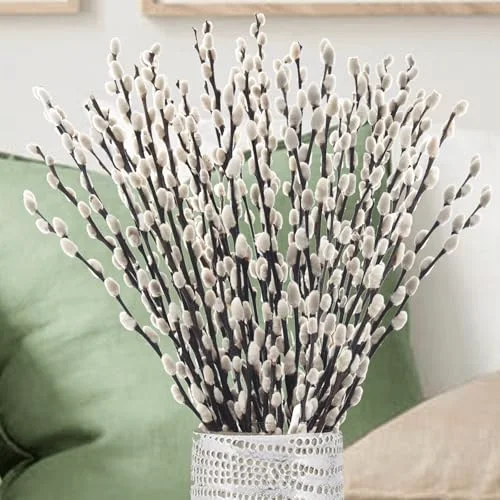 Natural Dried Pussy Willow Branches - 30PCS Willow Twigs for Indoor Decor