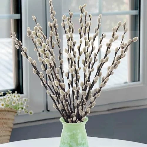 Real Dried Pussywillow Preserved Greenery Branches for Vase