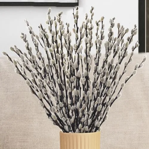 Real Dried Pussywillow Preserved Greenery Branches for Vase